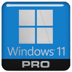 Windows 11 Pro 24H2 icon