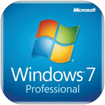 Windows 7 Professional icon