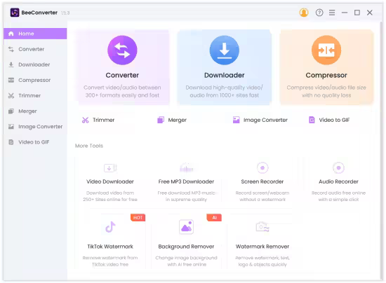تحميل برنامج AmoyShare BeeConverter Pro لتحويل صيغ الفيديو والصوت
