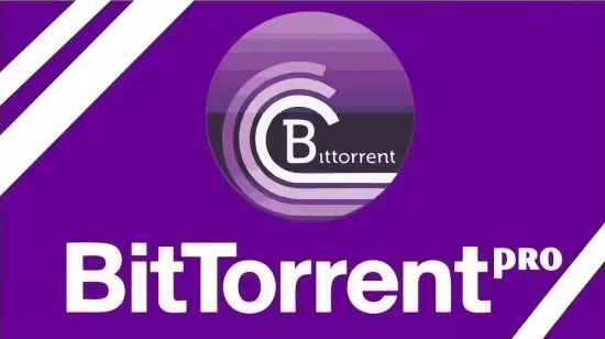 تحميل برنامج BitTorrent Pro لـتحميل و مشاركة وتنظيم ملفات التورنت