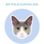 تحميل برنامج EF File Catalog لإنشاء قاعدة بيانات تحتوي على معلومات حول جميع الملفات