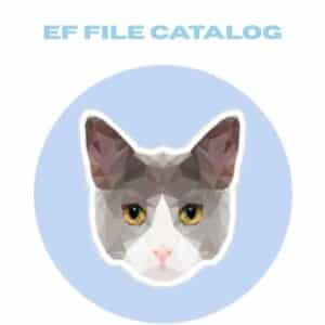 تحميل برنامج EF File Catalog لإنشاء قاعدة بيانات تحتوي على معلومات حول جميع الملفات