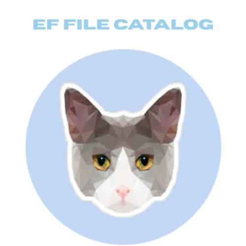 تحميل برنامج EF File Catalog لإنشاء قاعدة بيانات تحتوي على معلومات حول جميع الملفات