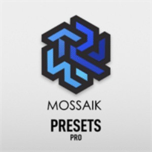 تحميل برنامج Mossaik Presets Pro توفير مكتبة واسعة ومتنوعة من الإعدادات المسبقة للصور
