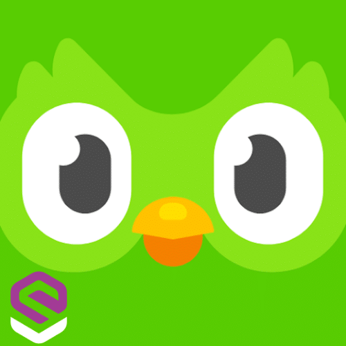 تحميل تطبيق Duolingo Language Lessons لتعليم اللغات عبر الإنترنت 1