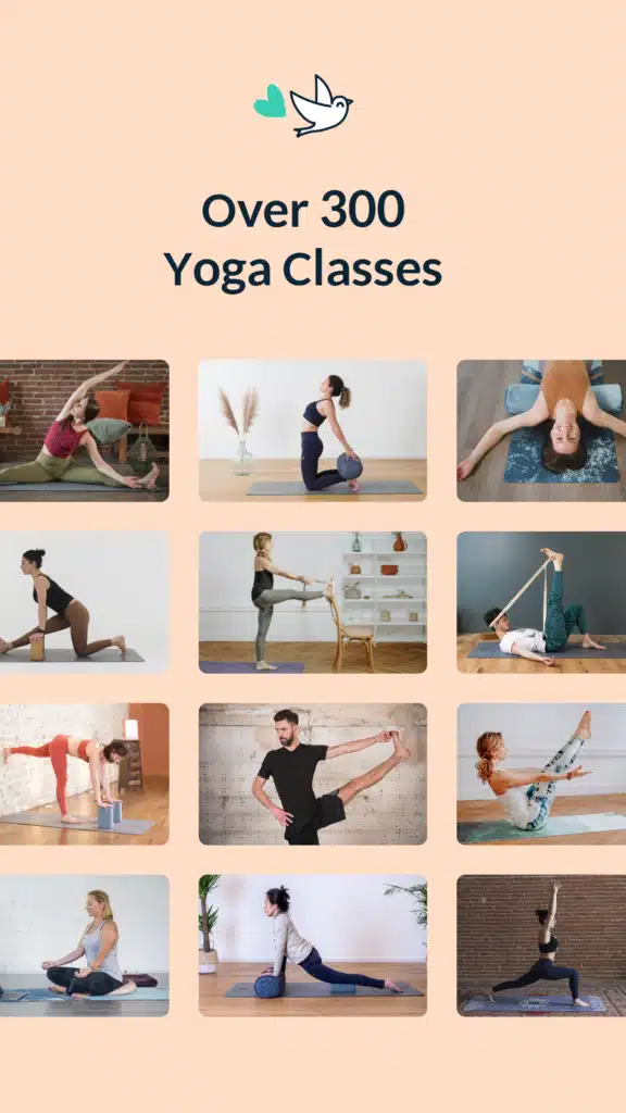 تحميل تطبيق Yoga & Meditation Gotta Yoga لتعليم وممارسة رياضة اليوجا