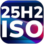 Windows 11 Pro 25H2 Multilingual icon