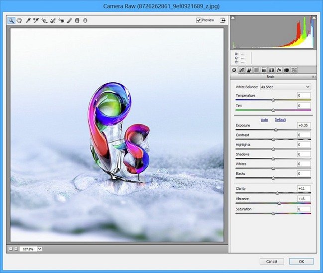تحميل برنامج Adobe Camera Raw معالجة وتعديل الصور الملتقطة بصيغة RAW