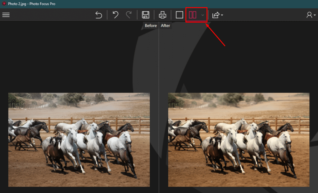 تحميل برنامج InPixio Photo Focus Pro لتحسين جودة الصور الرقمية
