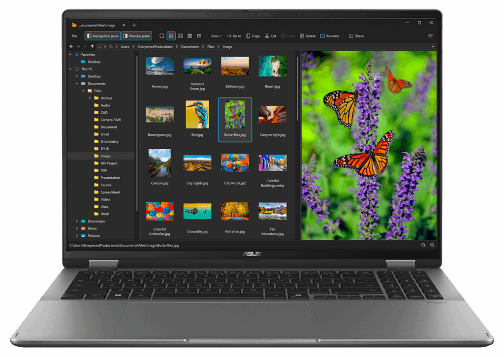 تحميل برنامج File Viewer Plus لتحرير مجموعة ضخمة من تنسيقات الملفات