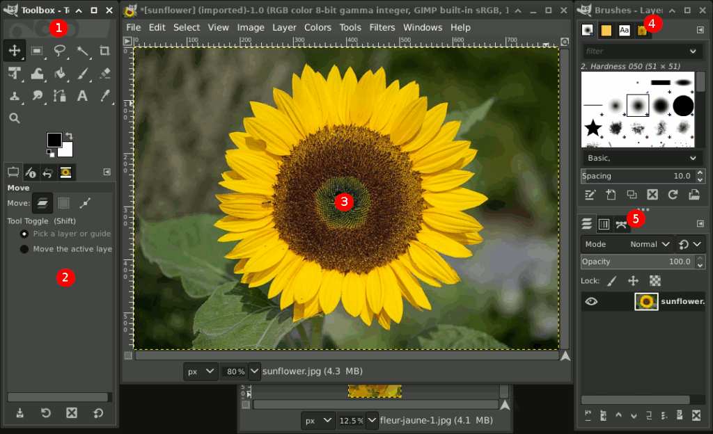 تحميل برنامج GIMP لتحرير الصور المجانية ومفتوحة المصدر
