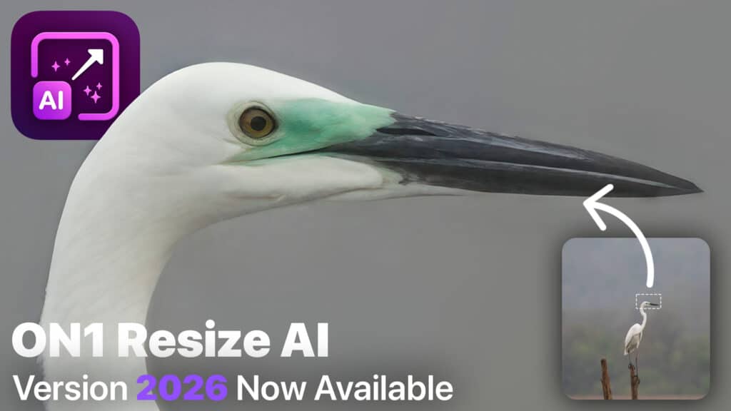 تحميل برنامج ON1 Resize AI لتكبير الصور الرقمية
