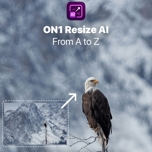 تحميل برنامج ON1 Resize AI لتكبير الصور الرقمية