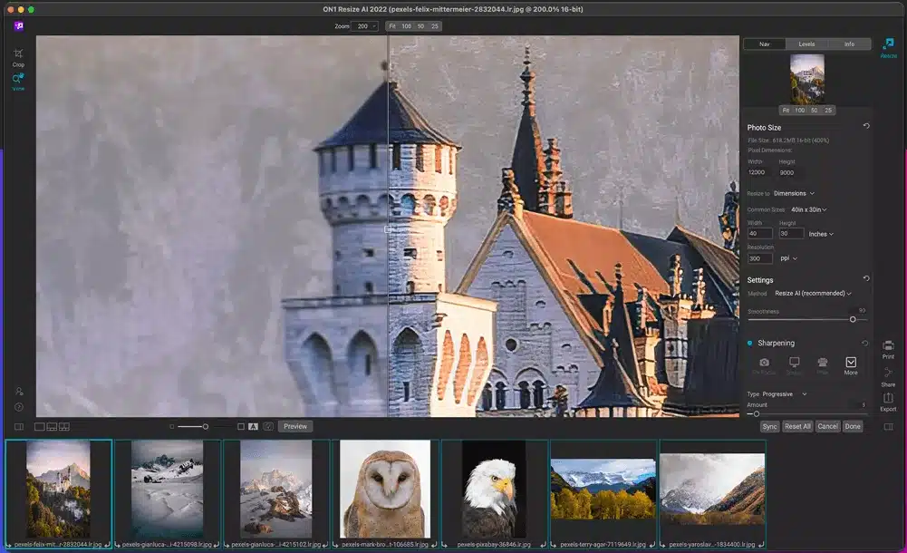 تحميل برنامج ON1 Resize AI لتكبير الصور الرقمية