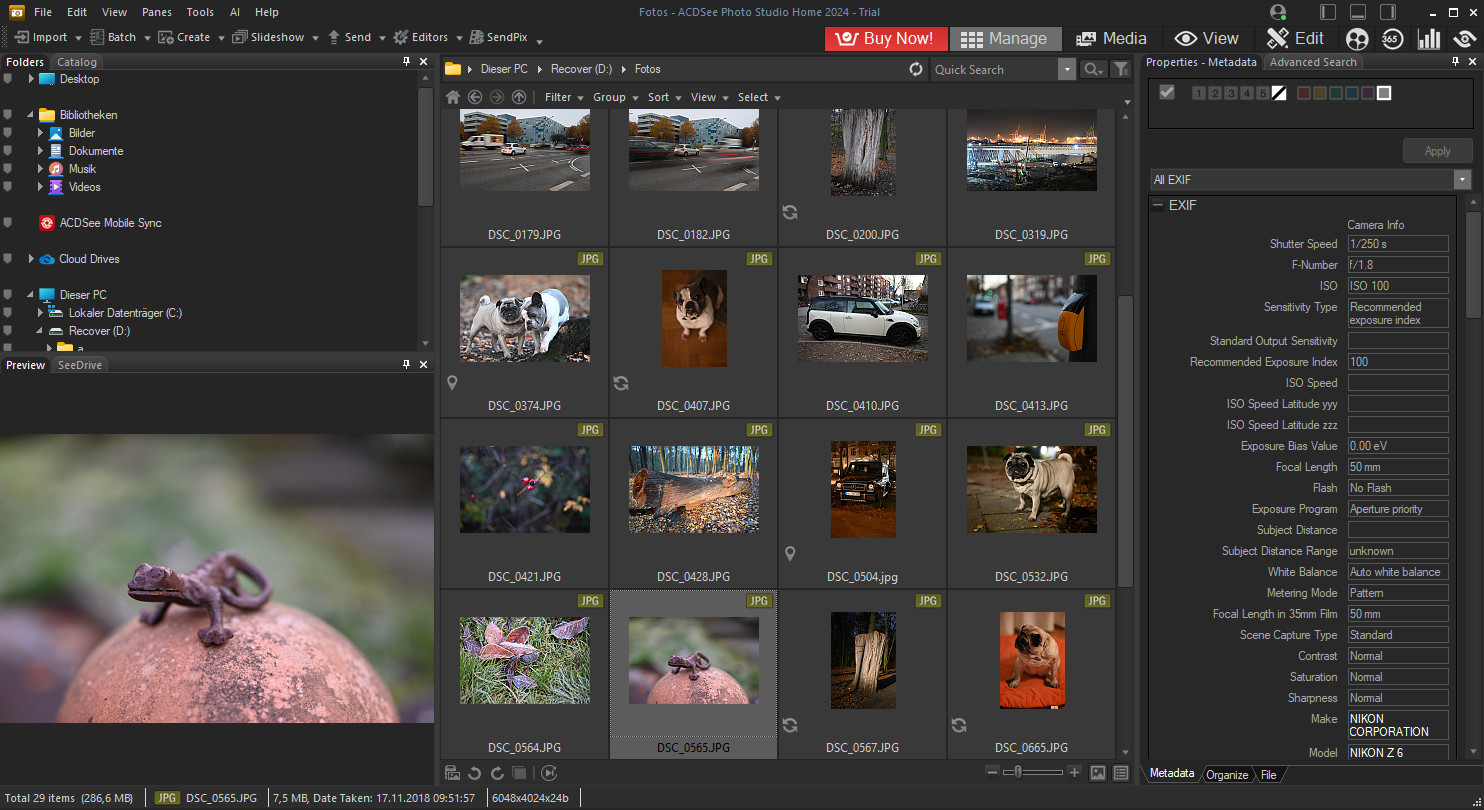 تحميل برنامج ACDSee Photo Studio Home 2026 لتنظيم وتعديل الصور باحترافية