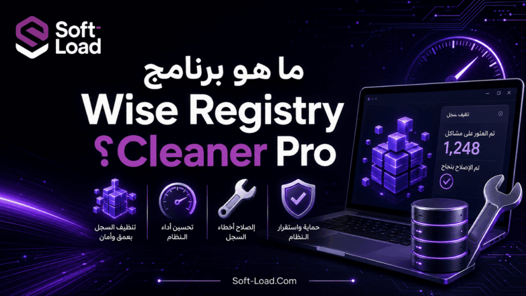 ما هو برنامج Wise Registry Cleaner Pro؟